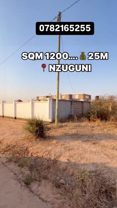 Plot for sale at Nzuguni, Dodoma