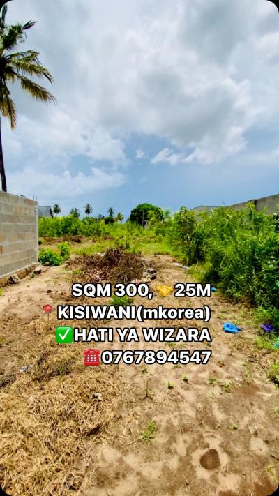 Plot for sale at Kisiwani, Kilimanjaro