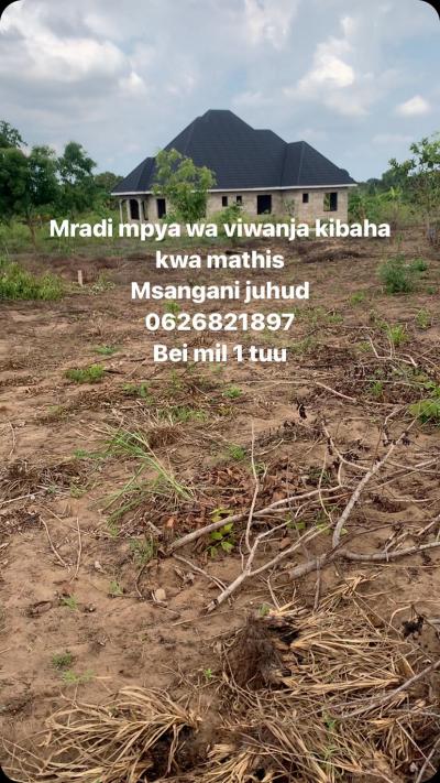 Plots for sale at Kibaha, Pwani