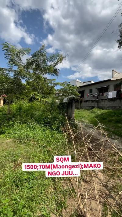 Plots for sale at Makongo, Dar Es Salaam