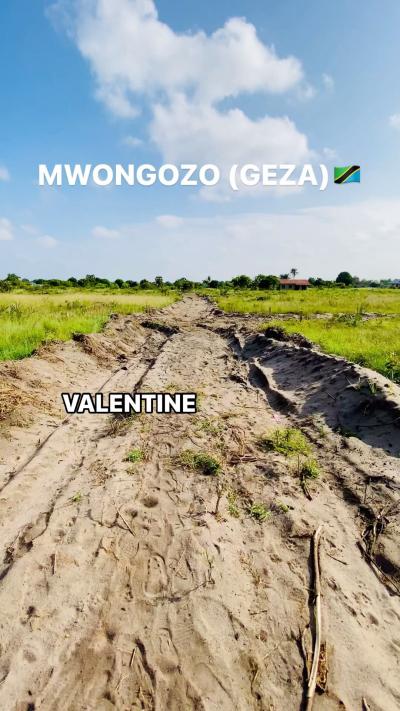 Plot for sale at Mwongozo, Tabora