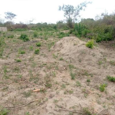 Plots for sale at Mawasiliano, Morogoro