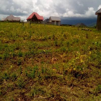 Plot for sale at Iwambi, Mbeya