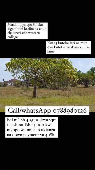 Plots for sale at Kigamboni, Dar Es Salaam