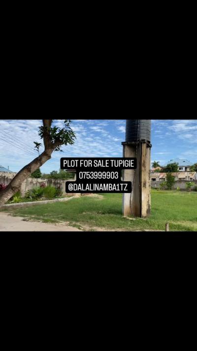 Plot for sale at Gongo La Mboto, Dar Es Salaam