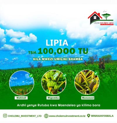 Farms for sale at Mtama, Lindi