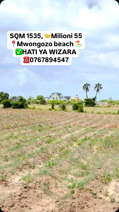 House for Rent at Mwongozo, Tabora