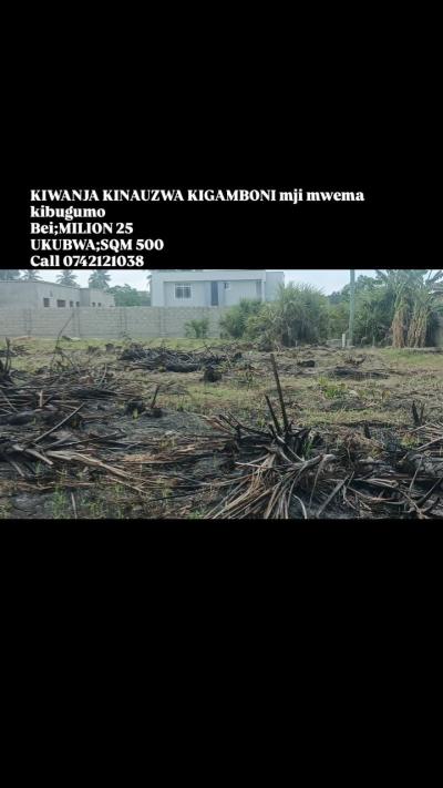 Plot for sale at Kigamboni, Dar Es Salaam