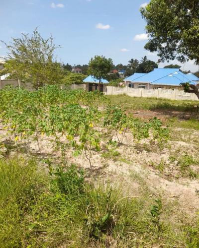 Plot for sale at Tambalale, Tabora