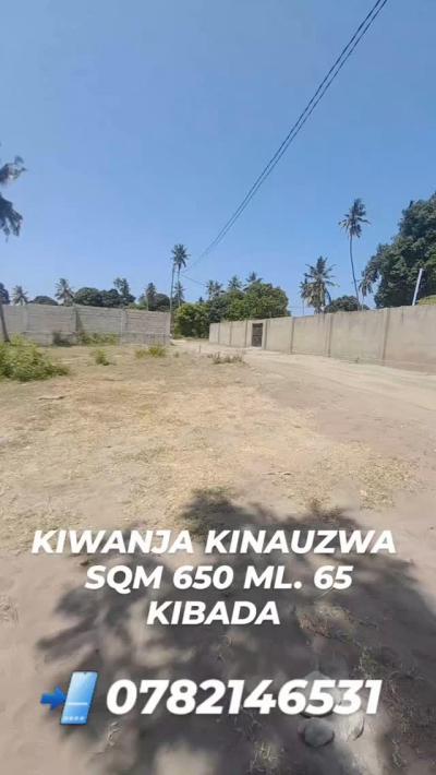 Plots for sale at Kigamboni, Dar Es Salaam