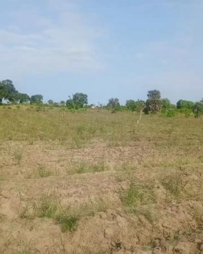 Plots for sale at Kerege, Pwani