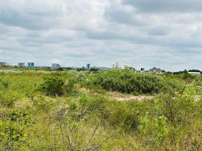 Farm for sale at Mtumba, Dodoma