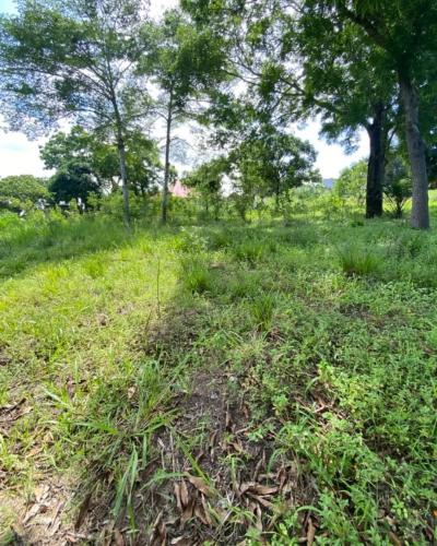 Plot for sale at Mbezi, Dar Es Salaam