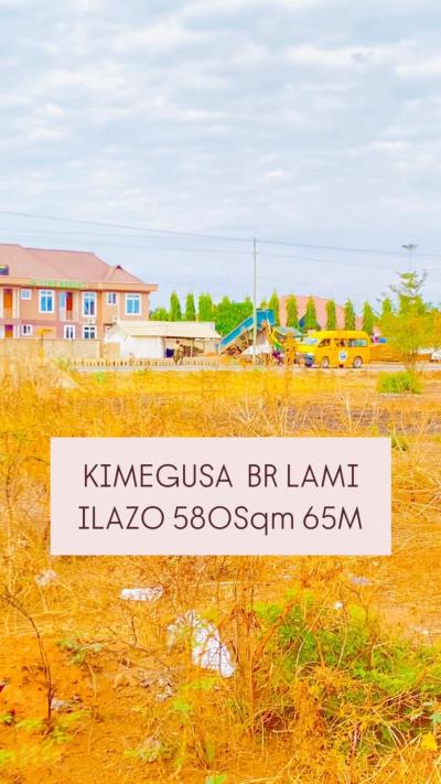 Plot for sale at Pasua, Kilimanjaro