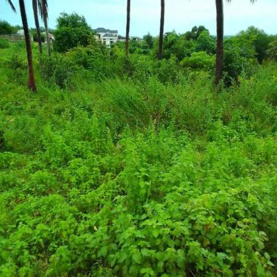 Plot for sale at Bunju, Dar Es Salaam