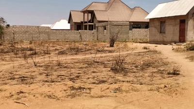 Plot for sale at Ntyuka, Dodoma