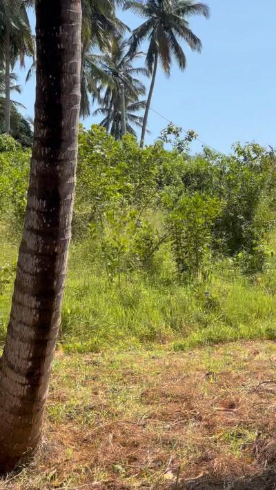 Plots for sale at Kilwa, Tanga