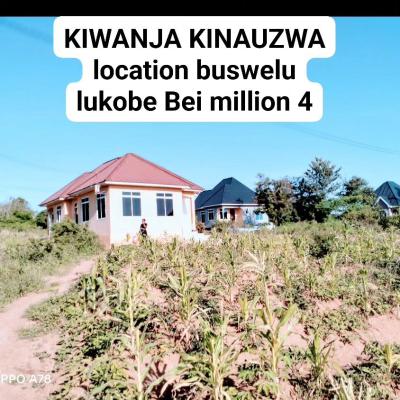 Plot for sale at Buswelu, Mwanza