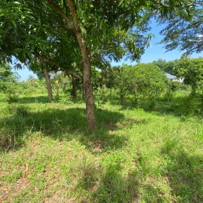 Plot for sale at Mbezi, Dar Es Salaam