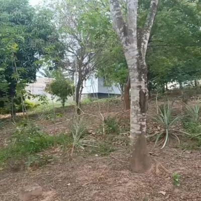 Plots for sale at Kinyerezi, Dar Es Salaam