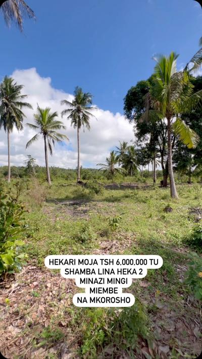 Farm for sale at Mkuranga, Pwani