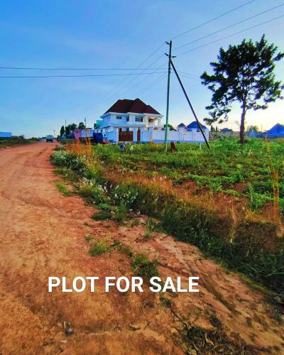 Plot for sale at Nyasaka, Mwanza