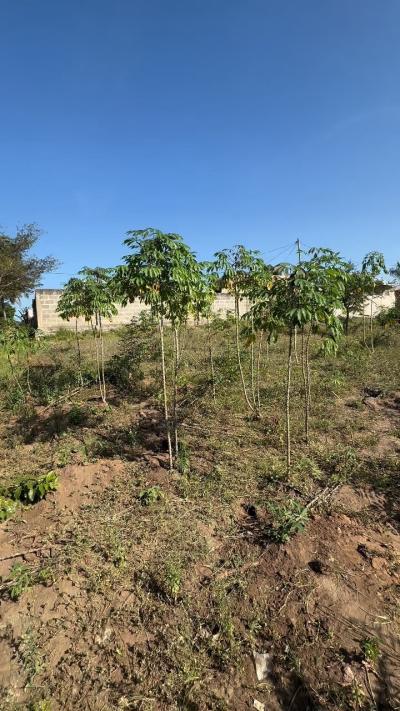 Plot for sale at Goba, Dar Es Salaam