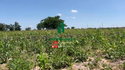 Farm for sale at Kisesa, Mwanza