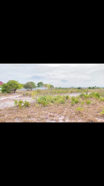 Plots for sale at Kigamboni, Dar Es Salaam