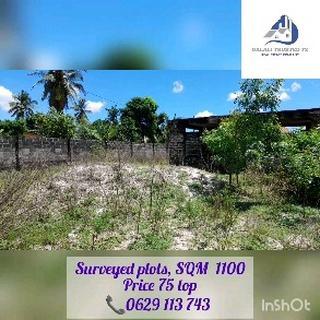 Plot for sale at Tangazo, Mtwara