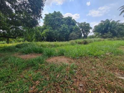 Plots for sale at Mbwewe, Pwani