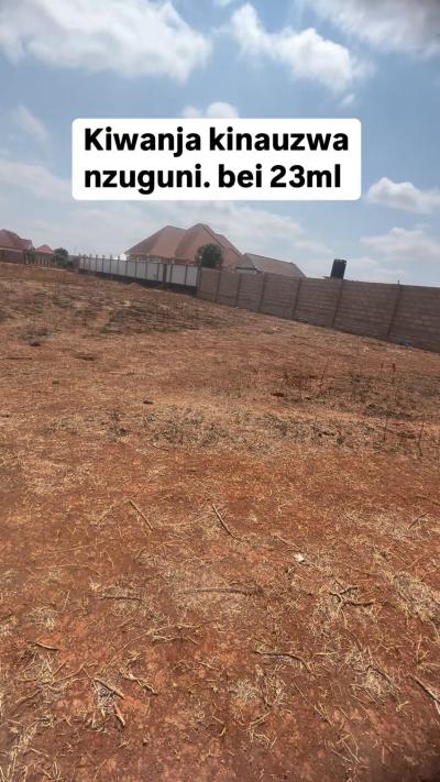 Plot for sale at Nzuguni, Dodoma