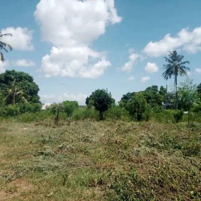 Plots for sale at Mapinga, Pwani