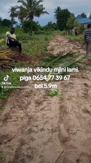 Viwanja vinauzwa Mjini, Ruvuma