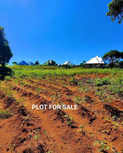 Plots for sale at Buswelu, Mwanza