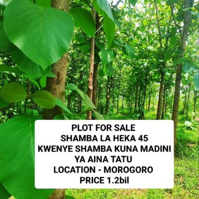 Farm for sale at Heka, Singida