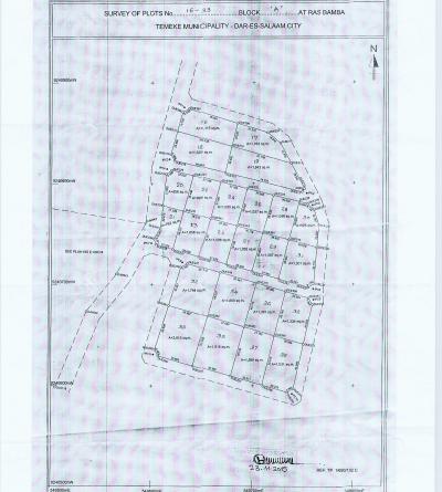 Plots for sale at Kigamboni, Dar Es Salaam