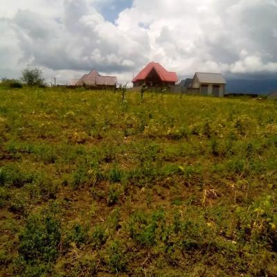 Plot for sale at Iwambi, Mbeya