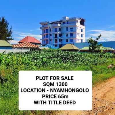 Plot for sale at Nyamhongolo, Mwanza