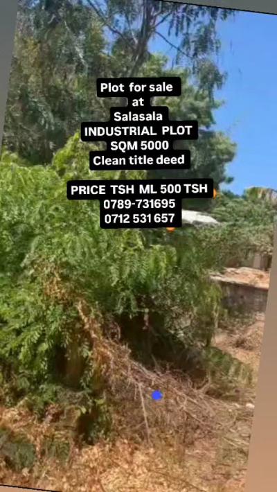 Plot for sale at Bagamoyo, Mbeya