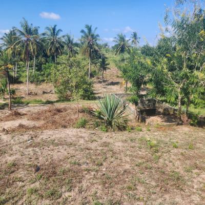 Plot for sale at Mawasiliano, Morogoro