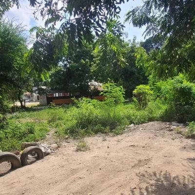 Plots for sale at Ubungo, Dar Es Salaam