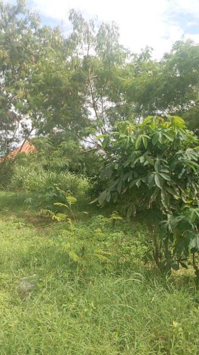 Plot for sale at Mkundi, Morogoro