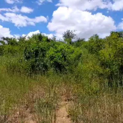 Plots for sale at Mbezi, Dar Es Salaam