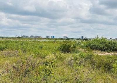 Farm for sale at Mtumba, Dodoma