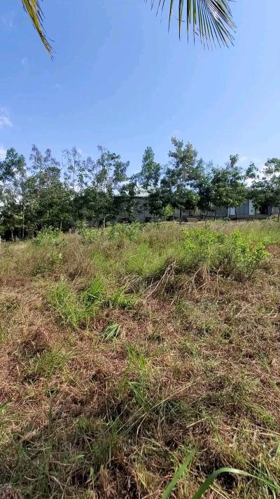 Plot for sale at Kinyerezi, Dar Es Salaam