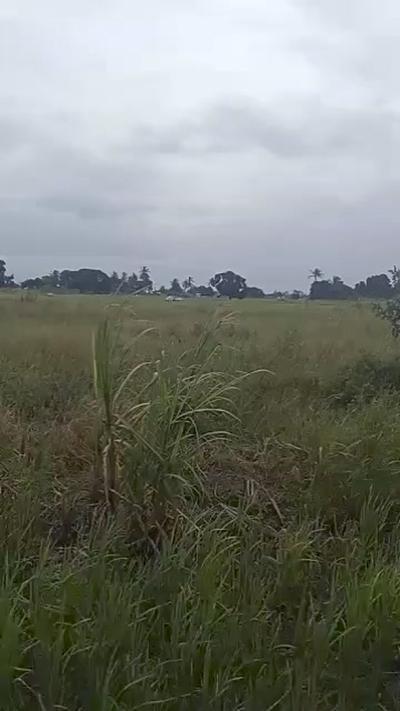 Shamba linauzwa Bagamoyo, Mbeya