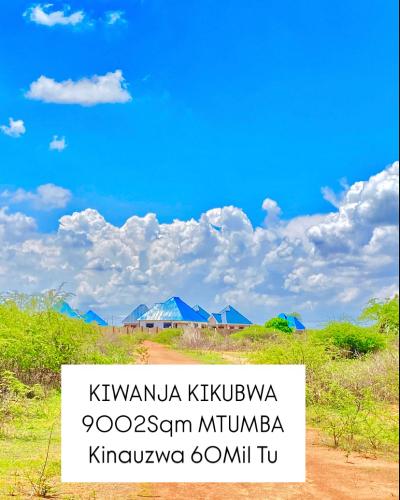 Plot for sale at Mtumba, Dodoma