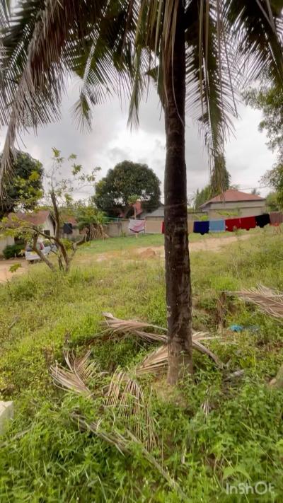 Plot for sale at Makongo, Dar Es Salaam