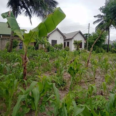 Plot for sale at Kitunda, Dar Es Salaam